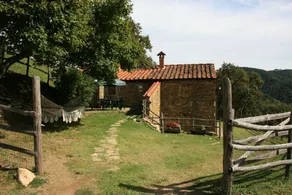 Tribbiano - Image 4