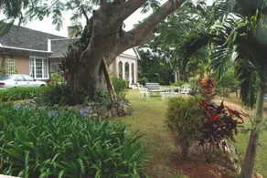 June Plum Bed and Breakfast - Image 4
