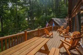 Bear Necessity Home - Image 5