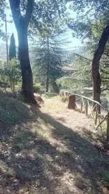 Tana Del Tasso - Image 2