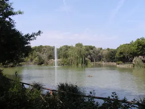 B&B Suites Rome & Florence Pescara - Image 4