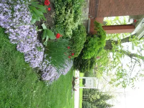 Li-Li Bed & Breakfast - Image 4