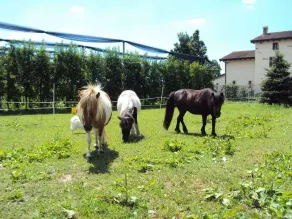 Agriturismo Ca Del Ferro - Image 4