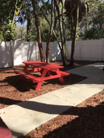 Cute Bungalow In Down Town Tampa With Jacuzzi & Grill - Image 5