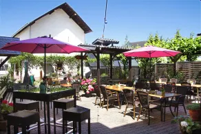 Weingut Fröhliches Weinfass - Image 4
