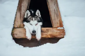 Lapland Hotel Snow Village - Image 3
