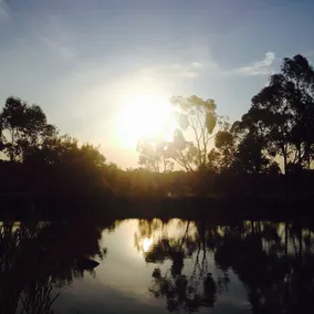 Goldfield Glamping - Image 4