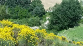 House With 2 Bedrooms in Civitaquana, With Private Pool and Enclosed G - Image 3