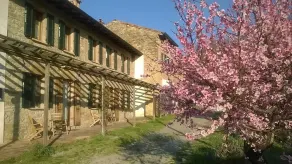 Casa Dell' Abbondanza B&B Agriturismo - Image 2