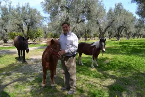 Agriturismo Il Maresciallo - Image 4
