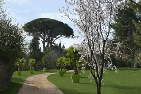 Campagne Saint Jean De Matha - Image 4