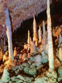 Aven Grotte Forestiere - Image 4