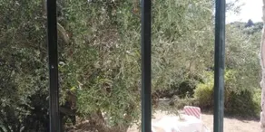 S&K Country House Pirgos Peloponnese - Image 5