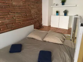 Le petit Moulin, duplex hypercentre Toulouse - Image 4