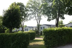 Camping Club lac de Bouzey - Image 5