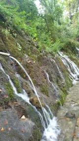 Zeyve Lavanta Tatil Köyü - Image 2