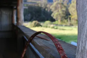 The National Park Hotel - Image 5