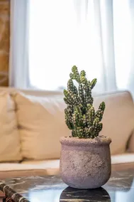 Casa d' Aquila - Image 5