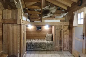 Gîte La Patte Nordic Chalet - Image 3