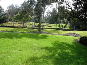 Ohi'a Park Estate - Image 3