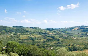 Villa Lama - Image 5