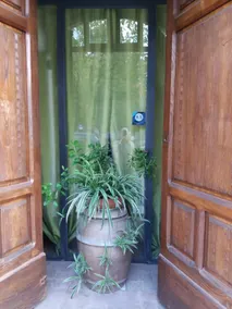 Agresta B&B - Image 5