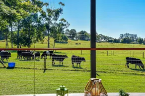 Curra Homestead Maleny - Image 4