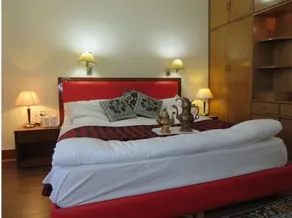 Lasermo Ladakh - Image 4