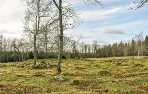 Amazing Home in Vimmerby With 1 Bedrooms and Wifi - Image 2