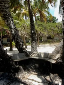 Driftwood Beach Club - Image 5