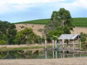 Barristers Block Vigneron's Villa - Image 5