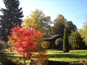 Hotel Pension Schellergrund - Image 4