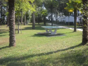 Happy Camp Mobile Homes in Camping Laguna Village - Image 4