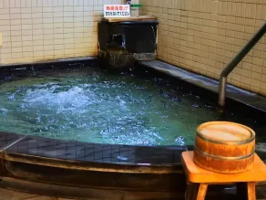 Ryokan Fujiya - Image 5