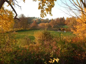 Pension Wiesenhof - Image 2
