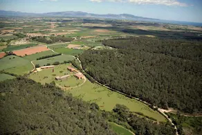 L'Olivar - Image 3