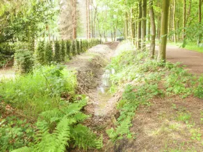 Cozy Holiday Home near Forest in Baarn - Image 5