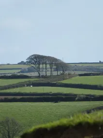 Markstone Farm - Adults Only - Image 3