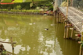 Spring Valley Resorts - Image 3