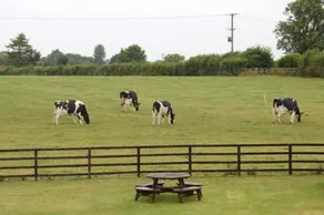 Hardy Lodge - Image 3
