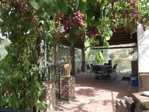 El Olivo Comares - Image 5