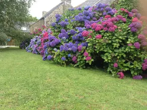 Gîte De Kervehun - Image 5