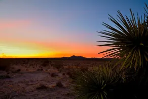 Unique off Grid Desert Retreat, California, USA - Image 4