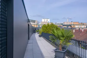 Skyline - Image 4