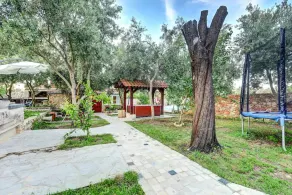 House Bongo - Image 5