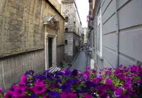B&B Civico 16 - Image 3