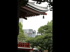 Nine Hours Asakusa - Image 3