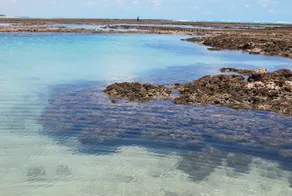 Vila Moa - Image 4