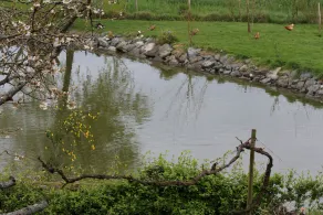 La Bonnauderie - Image 5