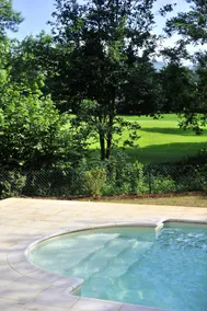 Estivel Royal Green - Image 5